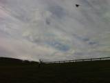 Go fly a kite